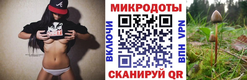 Купить закладки Нарткала Галлюциногенные грибы Psilocybine cubensis
